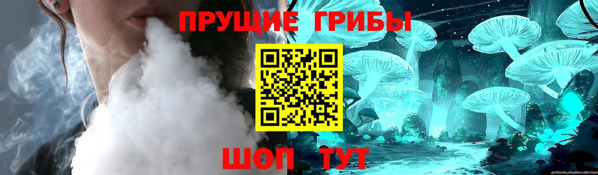 Галлюциногенные грибы Cubensis  Вход с VPN  Майский 